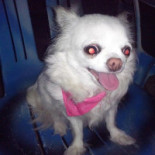 Le Vieux Port Boisson