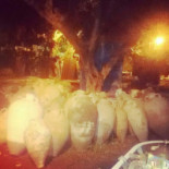 Germaine Café Boisson