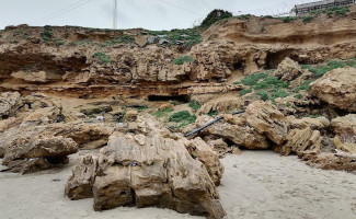 Grilled Fish Extérieur