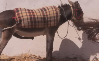 Fast Food La Formule Boisson