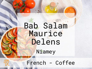 Bab Salam Maurice Delens